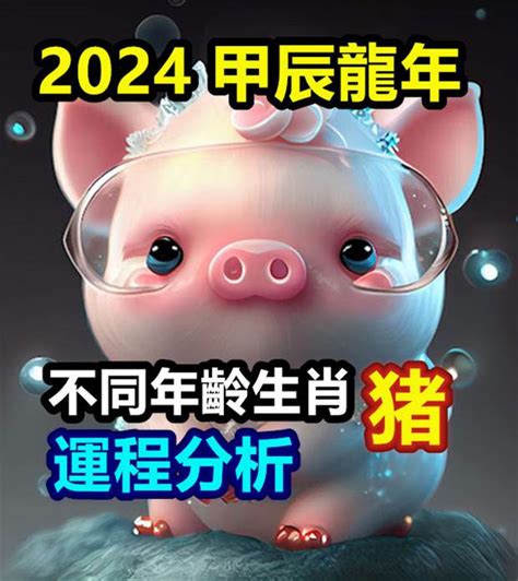 2024生肖豬